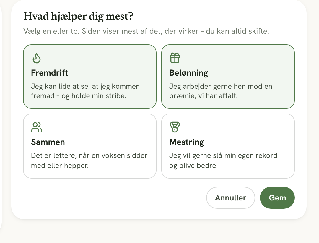 Valget af motivation med Fremdrift, Belønning, Sammen og Mestring